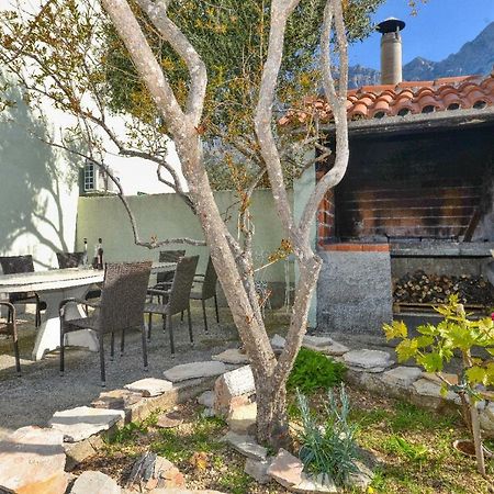 Villa Jelena Makarska Bagian luar foto